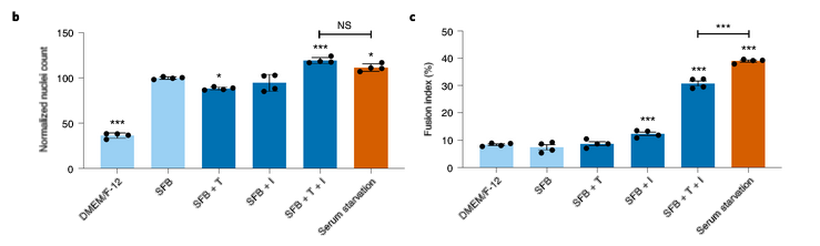 Figure 3b | Nuclei counts and fusion rate for stem cells in serum-free base and with supplements compared to FBS control