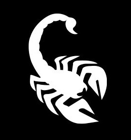 Scorpion Capital